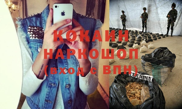 прущие грибы Горняк