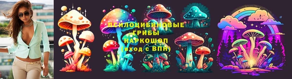 прущие грибы Горняк