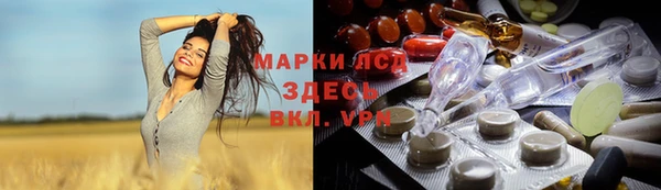 прущие грибы Горняк