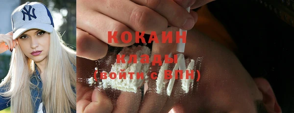 прущие грибы Горняк