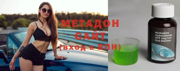 прущие грибы Горняк