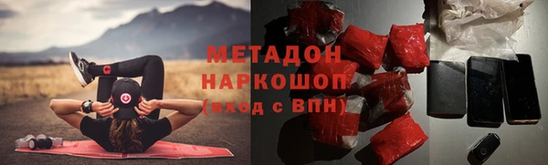 прущие грибы Горняк