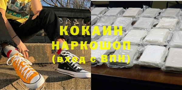 прущие грибы Горняк