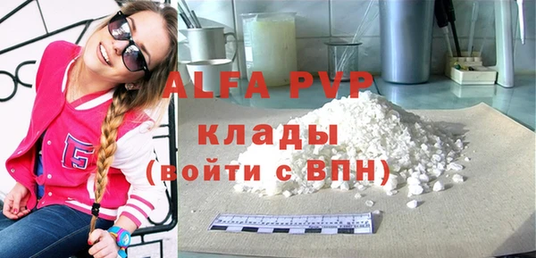 прущие грибы Горняк