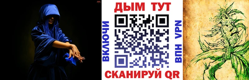 Канабис MAZAR  Купить  Калининец 